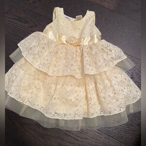 $30 msrp nwt blueberi boulevard lace Dress 2t